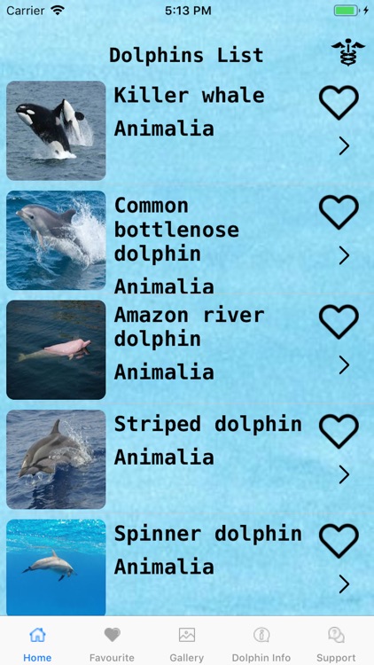 Dolphin Shoal