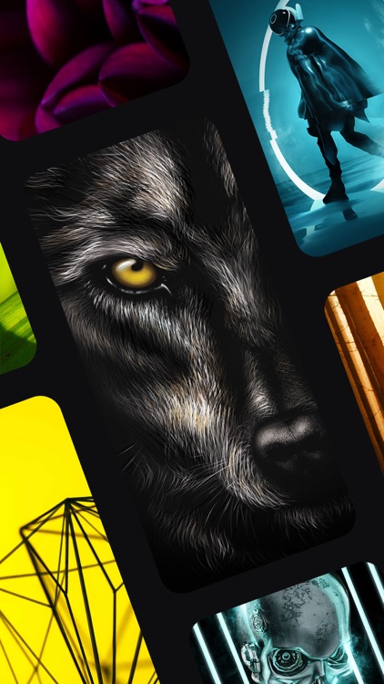 24KLiveWallpapers screenshot-8