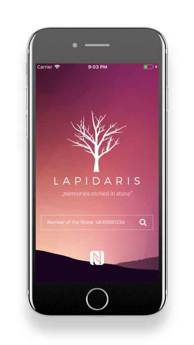 Lapidaris screenshot 2