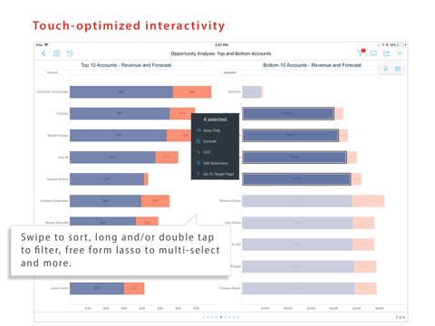 MicroStrategy Library for iPad screenshot 3