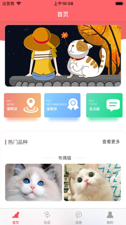 亲爱的猫咪