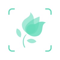  PictureThis - Plant Identifier Alternatives