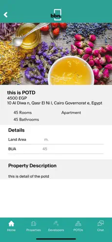Screenshot 4 BBN Egypt iphone