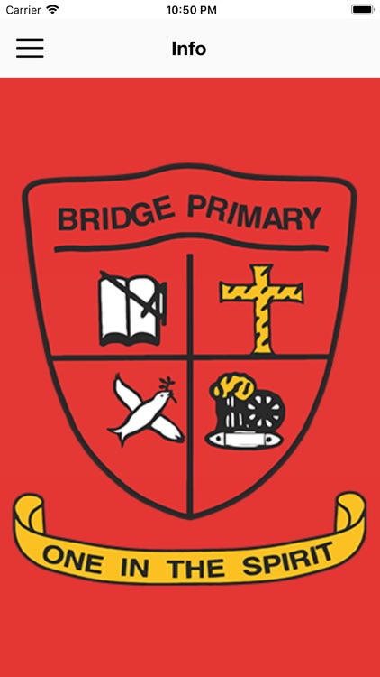 Bridge IPS