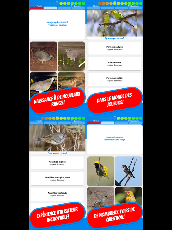 Screenshot #5 pour LES OISEAUX Quiz français