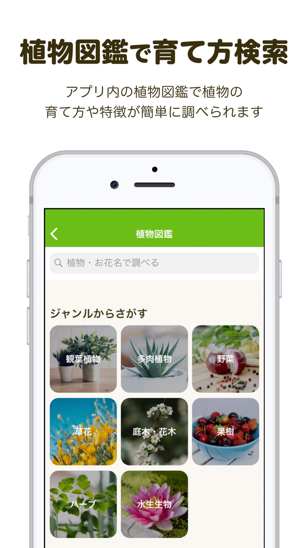 Greensnap 植物 花の名前が判る写真共有アプリ Free Download App For Iphone Steprimo Com