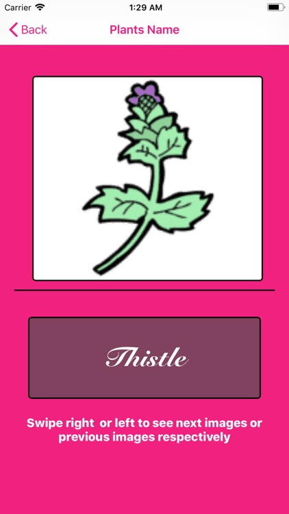 Know Plants,TreesNFlowers screenshot-3