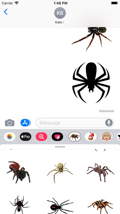 Spider Set Stickers