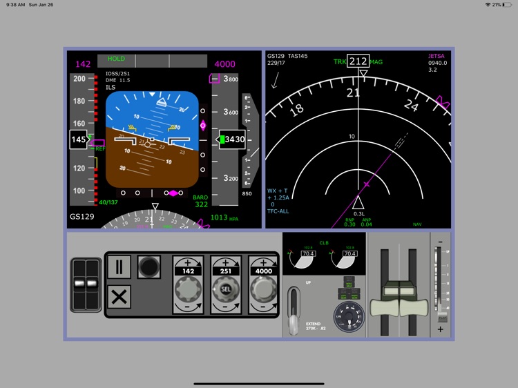 JET73 RAW ILS screenshot-3