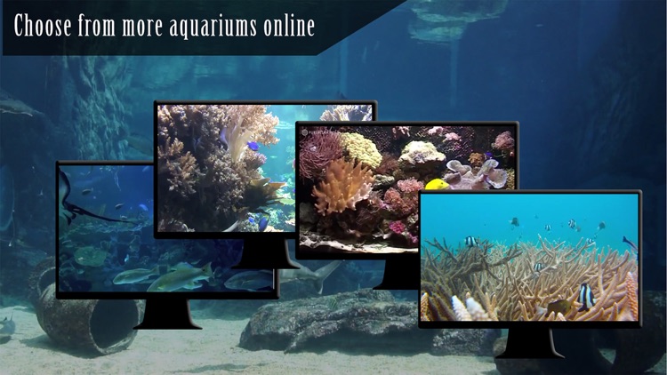 Ocean Aquarium HD