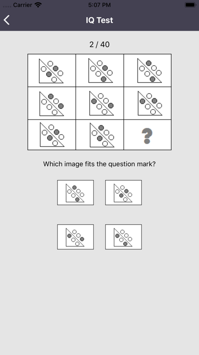 IQ Test Pro screenshot 2