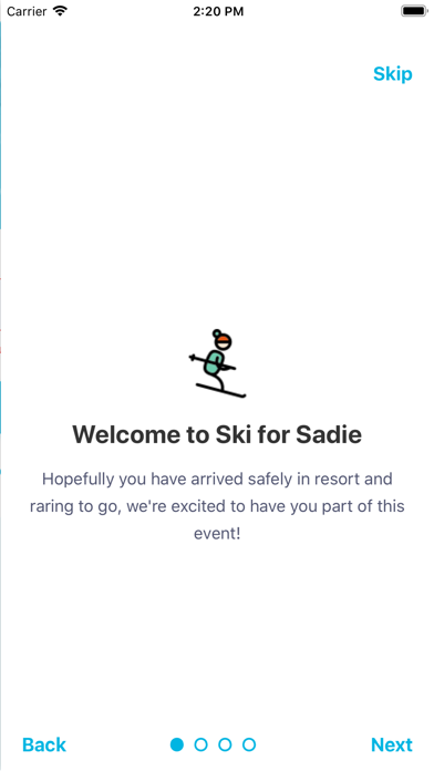 Ski For Sadie screenshot 2