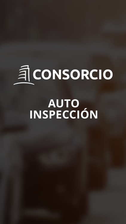 Autoinspección Consorcio