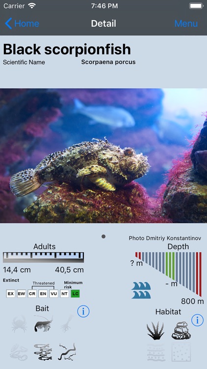 Fish Bait Lure Lite Quiz 2020 screenshot-3