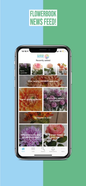 FlowerBook(圖3)-速報App