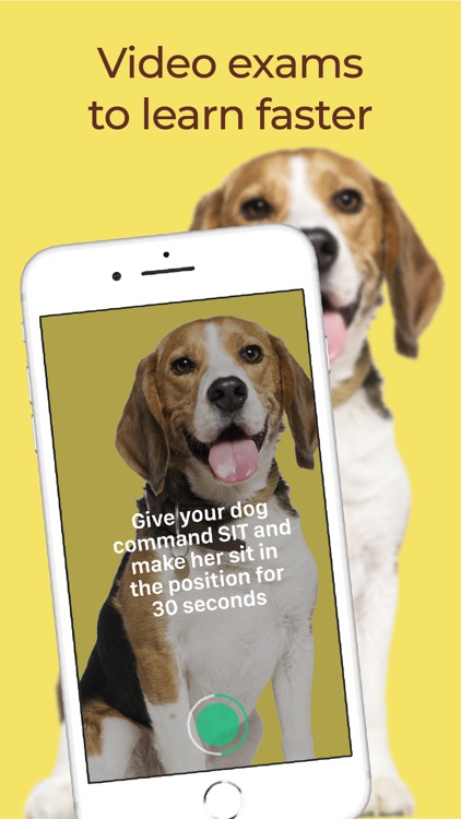 Dogo - Dog Training & Clicker screenshot-7
