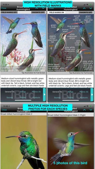 iBird Lite Guide to Birdsのおすすめ画像7