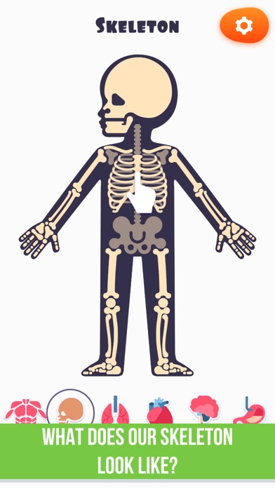 How to cancel & delete Visual Human Anatomy - My Body from iphone & ipad 3