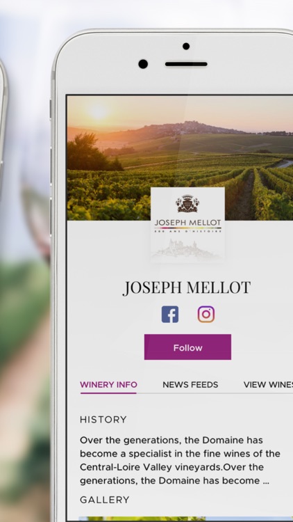 Vinifyed Wine & Spirits Search
