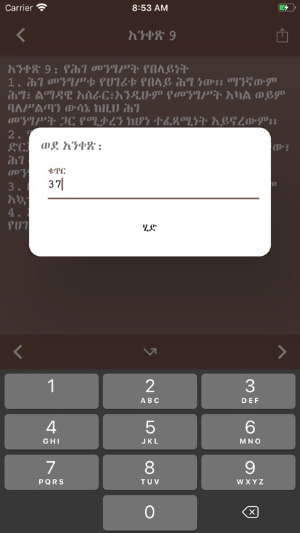 Ethiopian Constitution screenshot-7