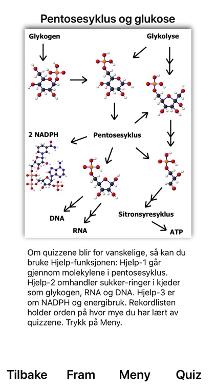 Pentosesyklus