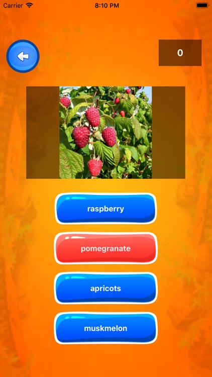 Quiz for Fruit