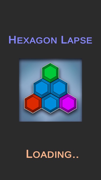 Hexagon Lapse screenshot 3