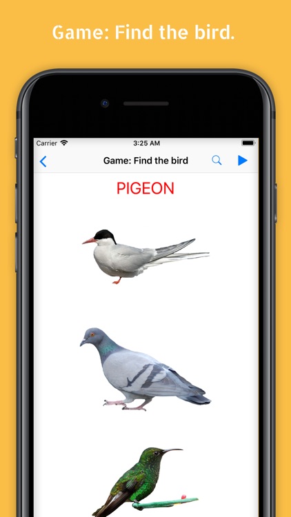 Cards with Birds (Full) screenshot-4