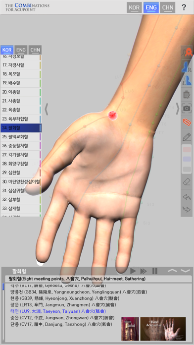 The Combinations For Acupoint screenshot 4