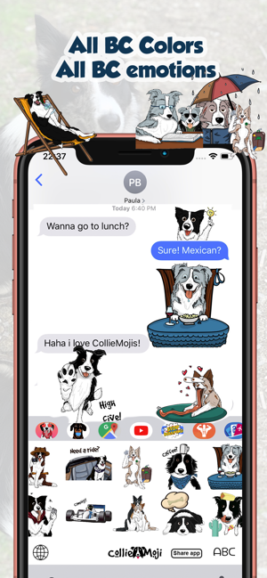 CollieMoji - Original Stickers(圖7)-速報App