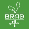 Brad Dashboard