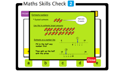 PAM Maths Skills Check 2 screenshot 4