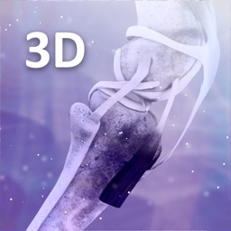 3D关节助手