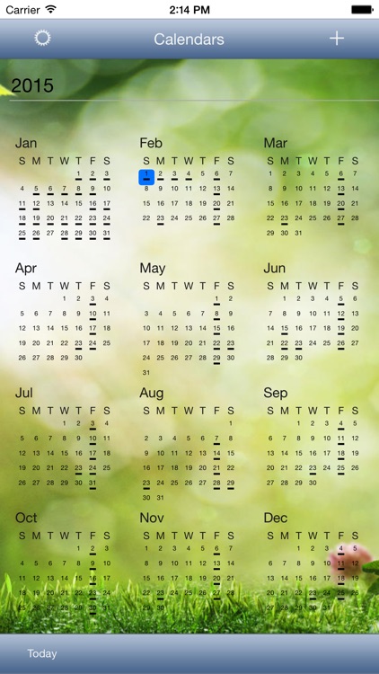 CalendarSkin screenshot-4