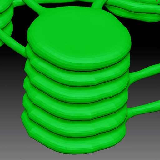 Photosynthesis in 3D