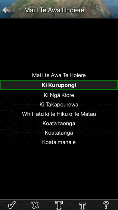 Ngāti Koata screenshot 3