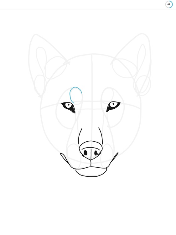 ShadowDraw - Learn How to Draw
