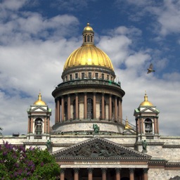 Питерские новости