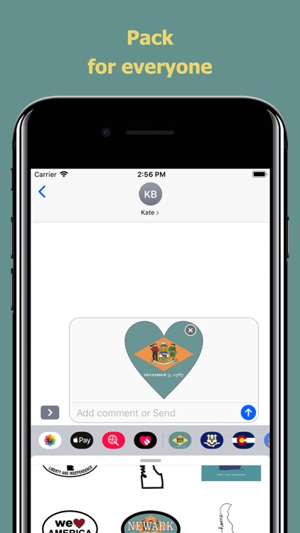 Delaware emojis - USA stickers screenshot-3