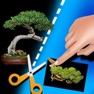 Get My Bonsai for iOS, iPhone, iPad Aso Report