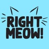 Right Meow - Cat Call App