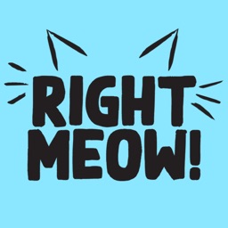 Right Meow - Cat Call App