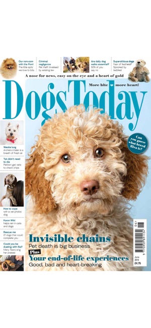 Dogs Today Magazine(圖1)-速報App