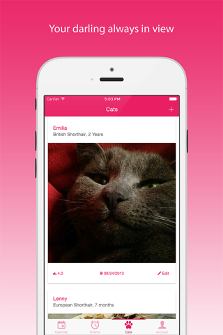 My Cat - Health & Care - náhled