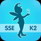 SSE K2 E-Learning 2.0