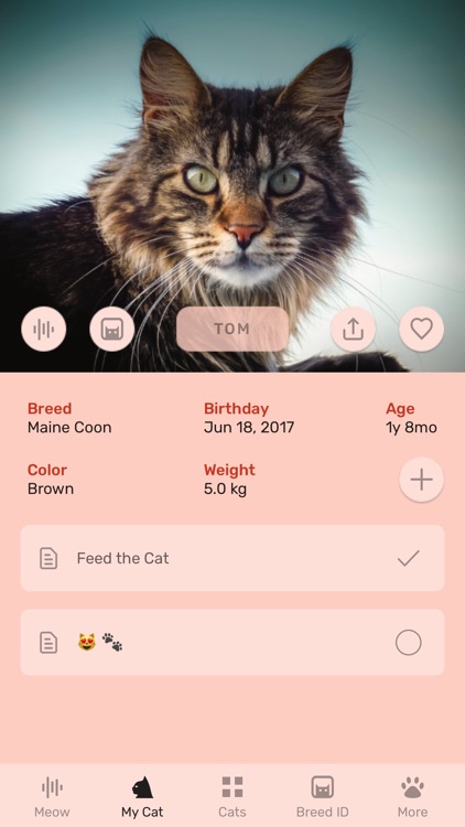 Cat App - Meowly Cats