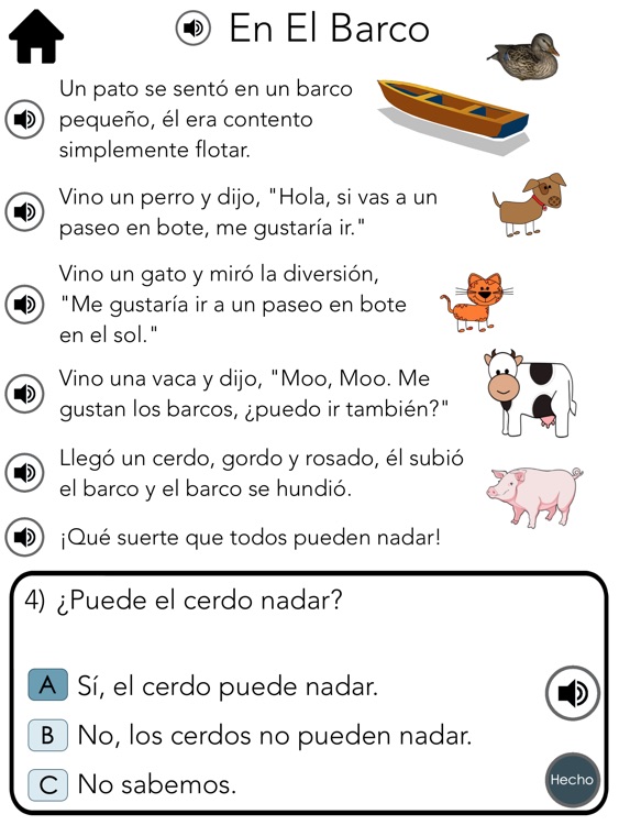 Spanish Reading Comprehension