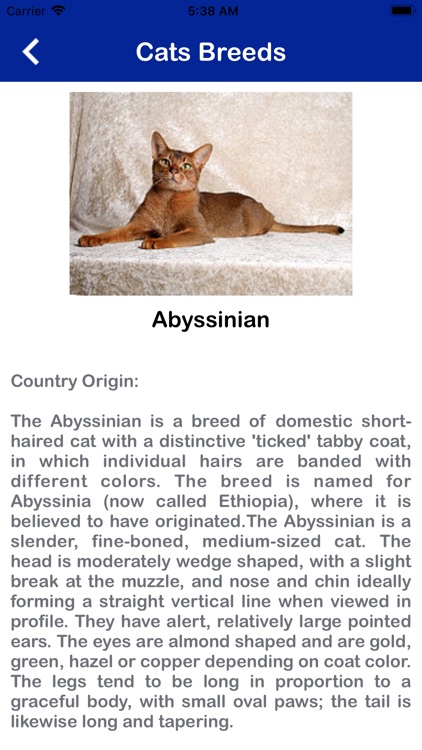 Various Cat Breeds