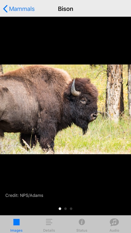 Yellowstone NP Field Guide screenshot-3