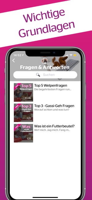 DogDict – Hundelehrvideos(圖4)-速報App